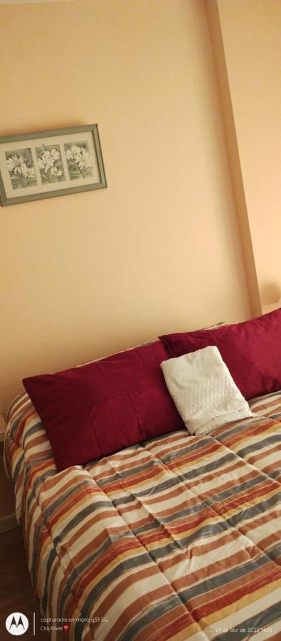 Acogedor Monoambiente Con Parking Daire Neuquén Dış mekan fotoğraf